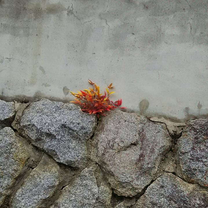 62fb5389 d059 491e 95c5 22c53fc9fa94