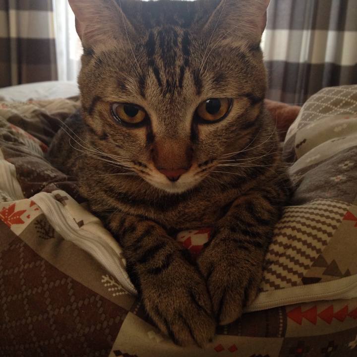 62fb82a8 f407 4c81 83b3 9e1750fd1011