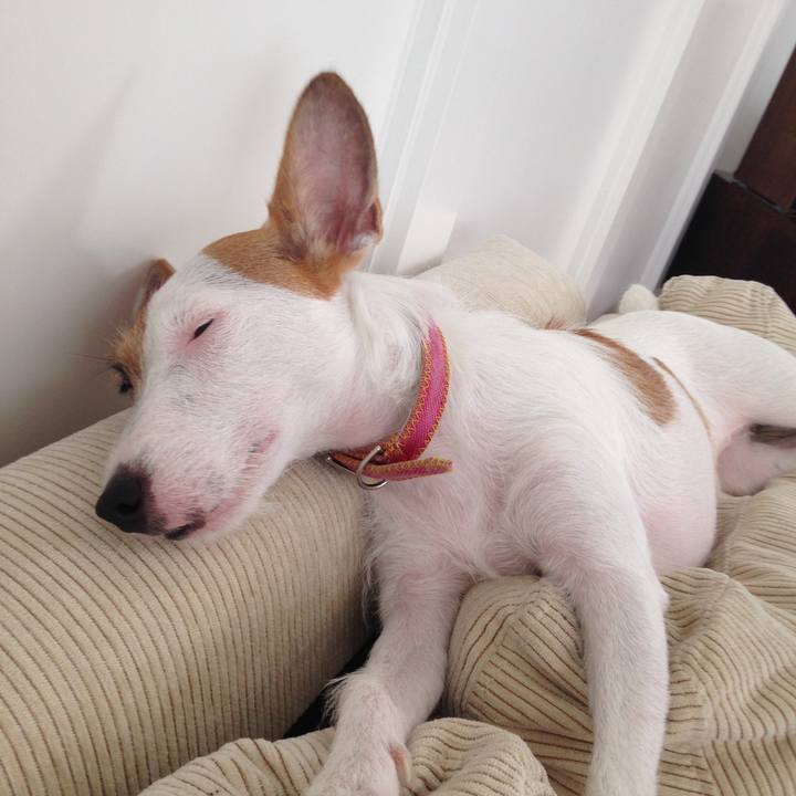 62fb8861 5297 4105 9fdb a2f82af68c9d