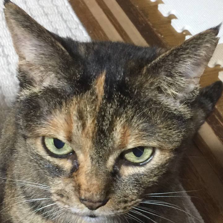 62fbbd0e 6775 4d02 a53b a4f362c596cc