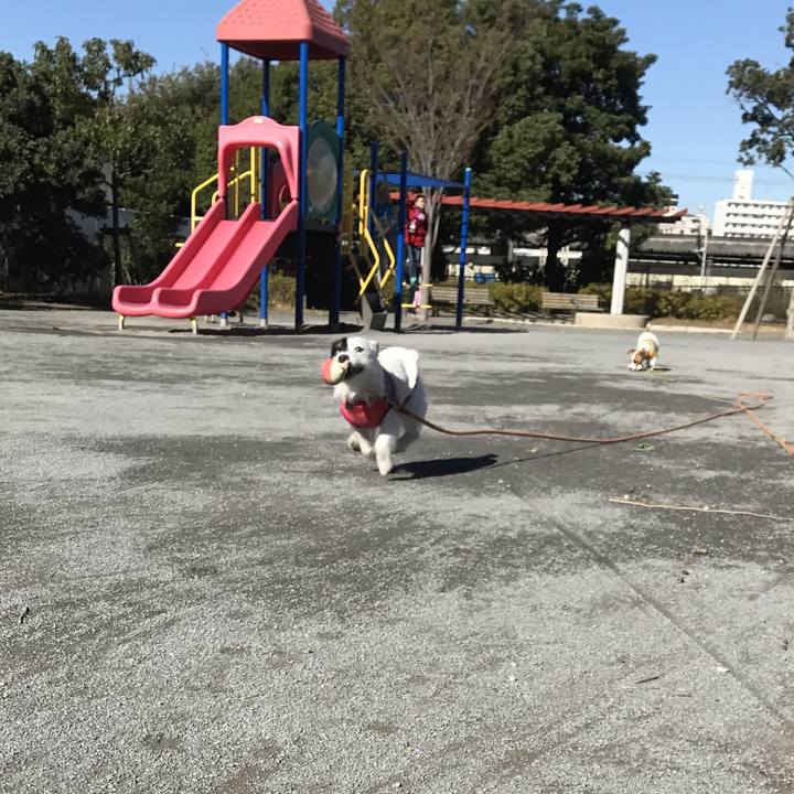 62fcf038 c325 4716 b24a 70abe5385de5