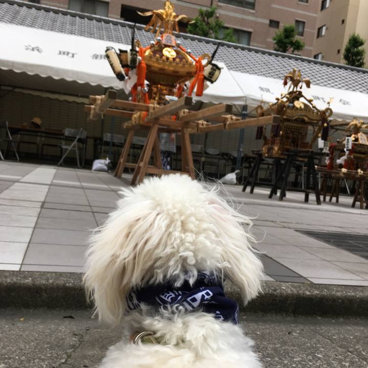 62fd3324 a134 4512 a07e 97bfb0f63d5f