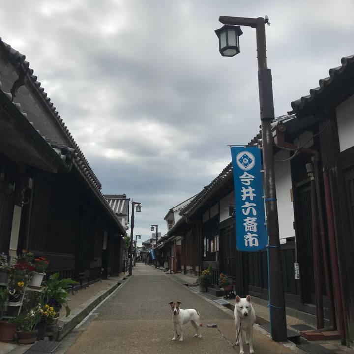 62fd443d f14e 412a bc85 a300c44ca35e