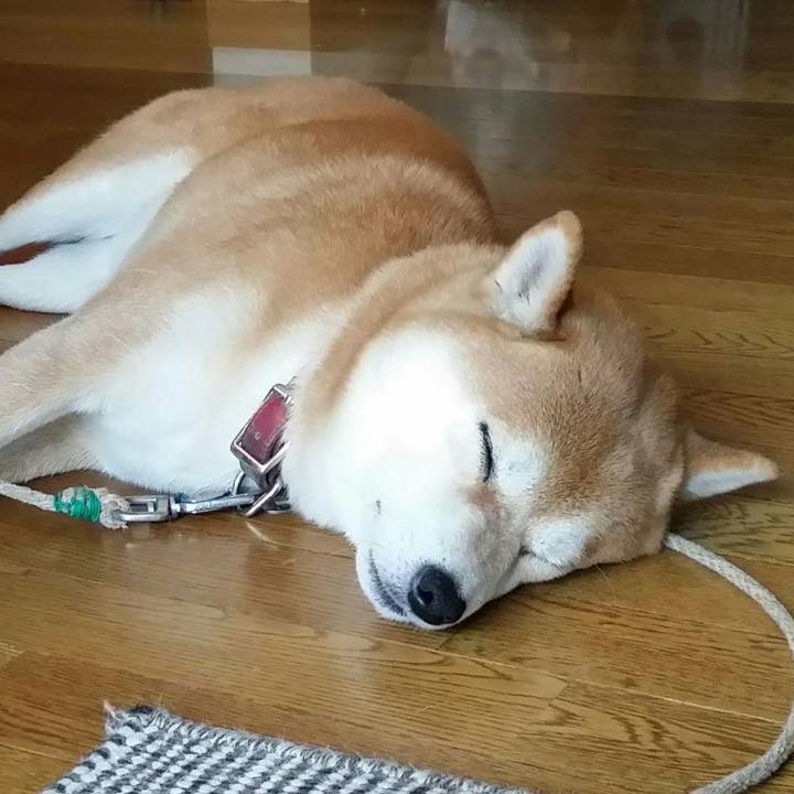 62fd9f3a 3812 47b3 94c9 bb8b23dfbaad