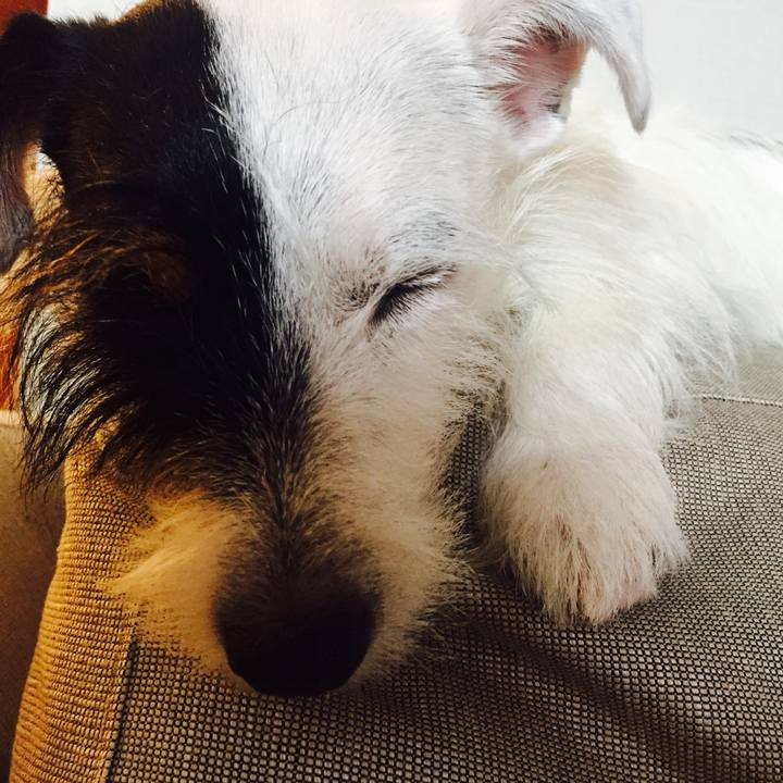 62fde5fc b634 415f af5a 0a186ff8dd84