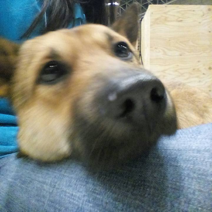 62fe5a9d ca42 4d9b 906c 09370daf5eb7