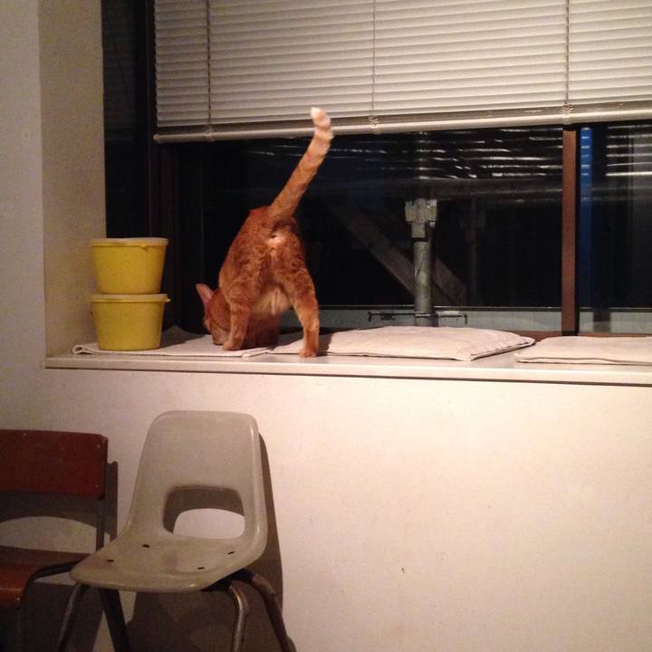 62fecd55 71f0 46a0 b924 5f1e6b7646a7