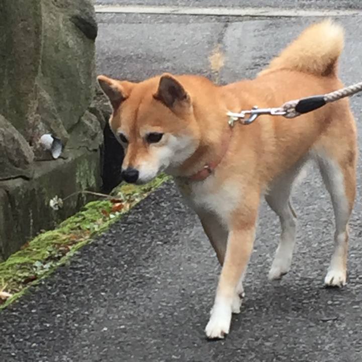 62ffbadb bd61 451c 9288 0733214d4da0