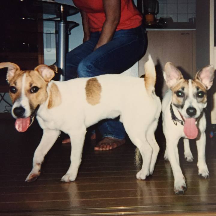 62ffc205 0b08 4e7a a6bd 740b15c52fa5