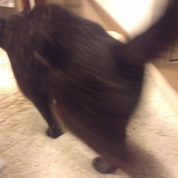 62ffda6f da50 4cfd aa7f e96ed393c289