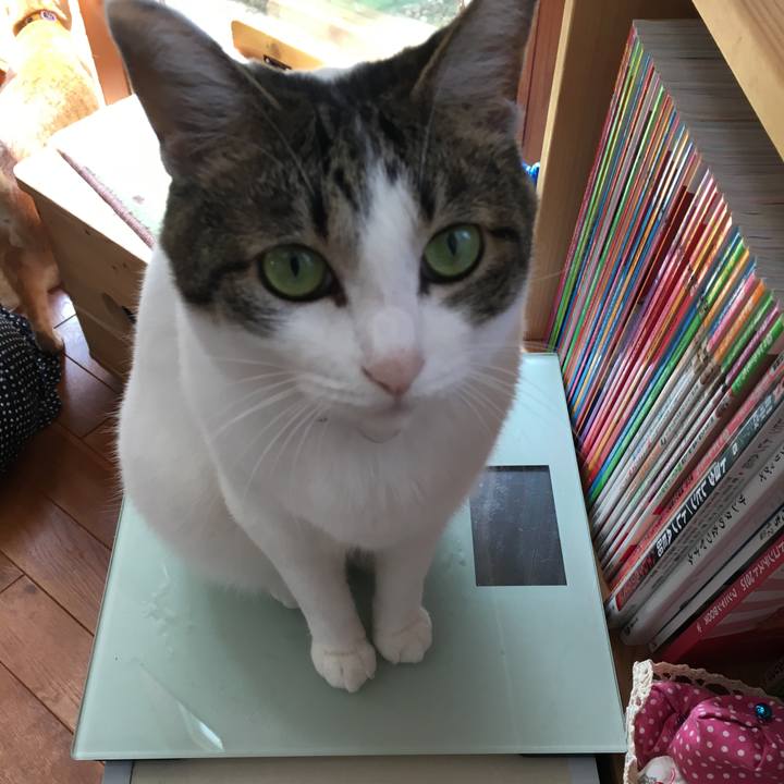 63000014 bcf7 457b 8691 15e678e666a2