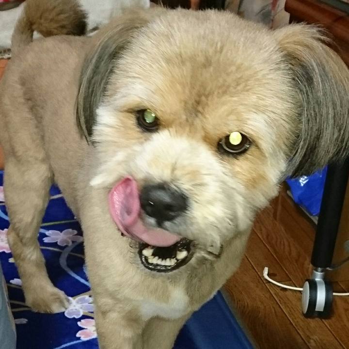 6300e7af d676 468e a153 0d2eefb7225c