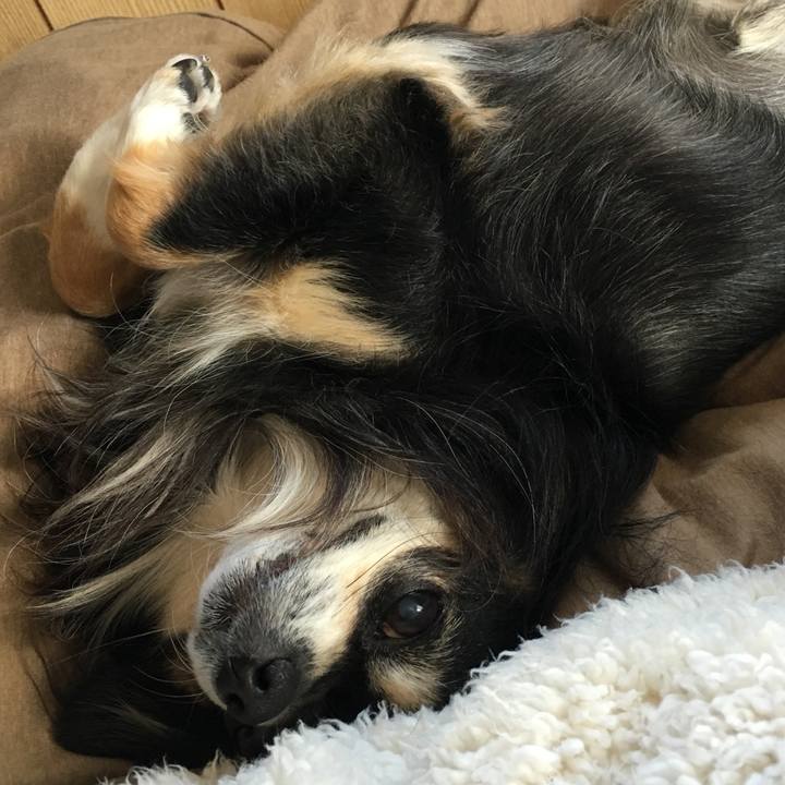 63014f24 31be 4bda 8e66 fcb83717967c