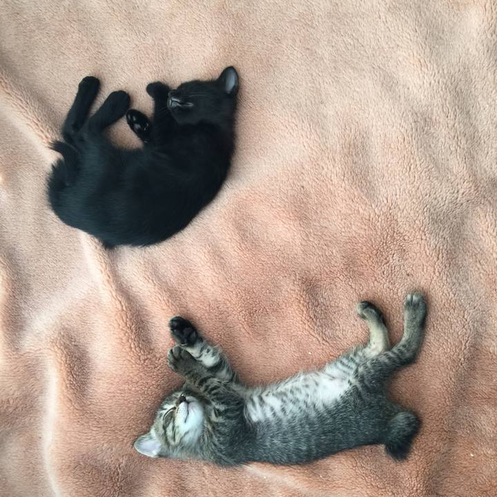 6301b43e a0e3 40cf 8a1f 47926cf8a1b5