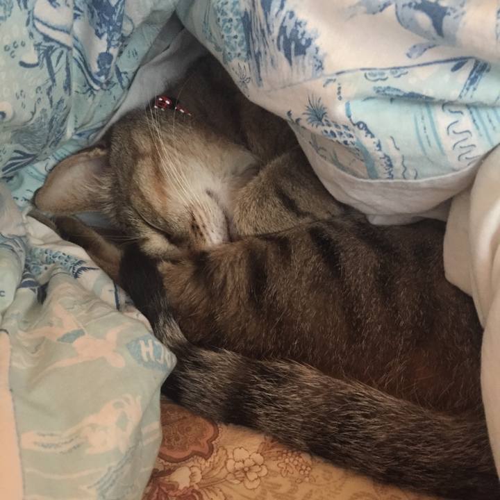 6301ddc7 aa23 4f83 af00 ec77fccaa1cd