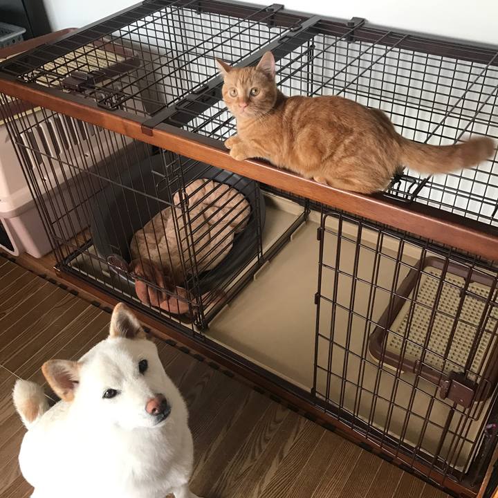 6302b3bd 3b51 48f6 a485 daab425a0591