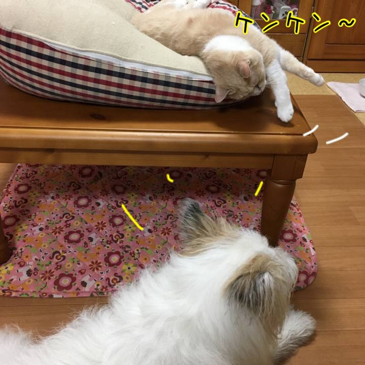 6303553e 5933 4c45 8f38 1d31c2dd7f8e