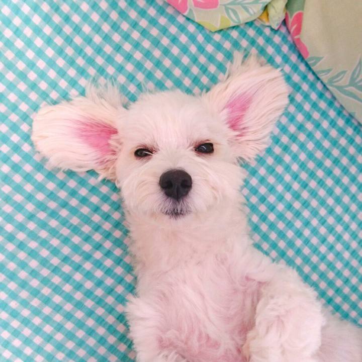 6303cffb 47af 462e ab01 3e0886ac60e3