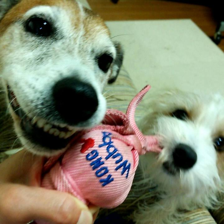 6303ef96 9308 4d3b 9299 e19563d7ceae