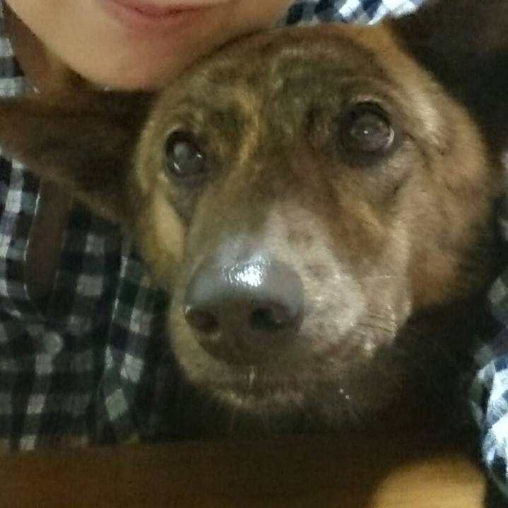 6304118e 2b0a 469a bc62 2cf813fe7c33