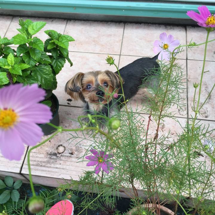 63049768 007b 4b6b b2b3 24d37dc5fd23