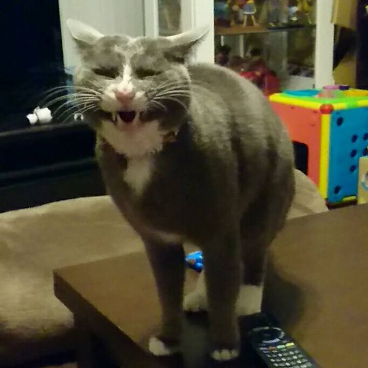 6304c50d 37a7 428c b38e 3788dad18358