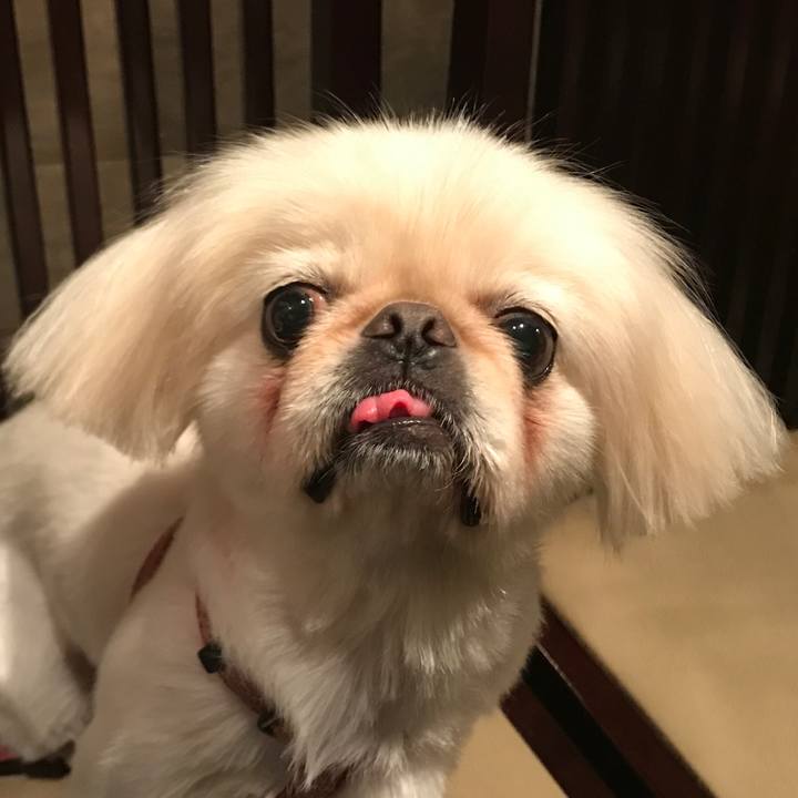 6304c96e f347 4eb3 a6cf 96850cec183b