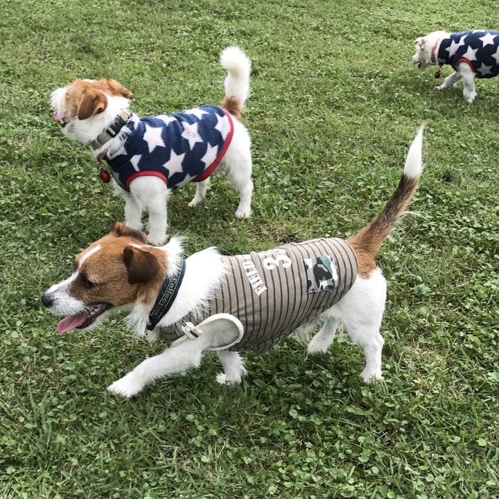 6304df96 7087 4b84 8852 11cecf28c026