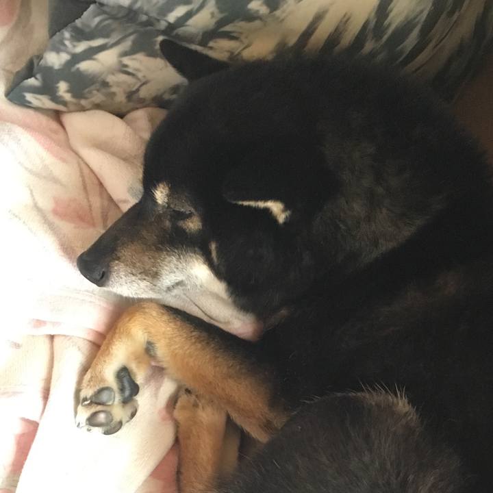 63057666 628d 4e39 8ce0 b60c6729272e