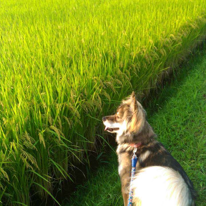 6305fe73 2b63 4de1 8ac3 a96088394651