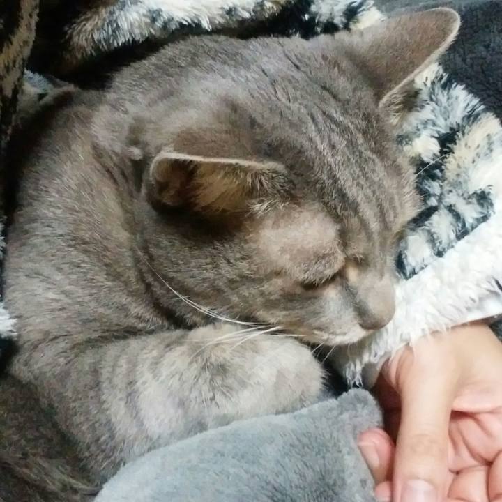 6306be66 a2d0 4def 89c2 7e4370b9d5d1