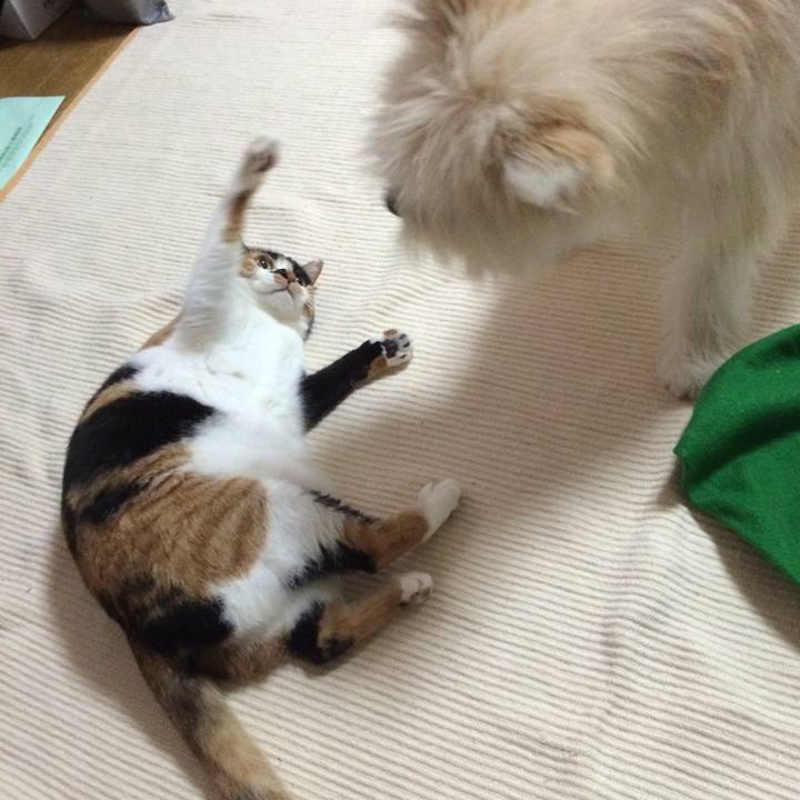 63070a18 0142 4fa8 b737 d417fb811e90