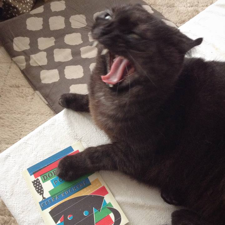 6307aee0 6512 461d 900e 8bff2622c13d