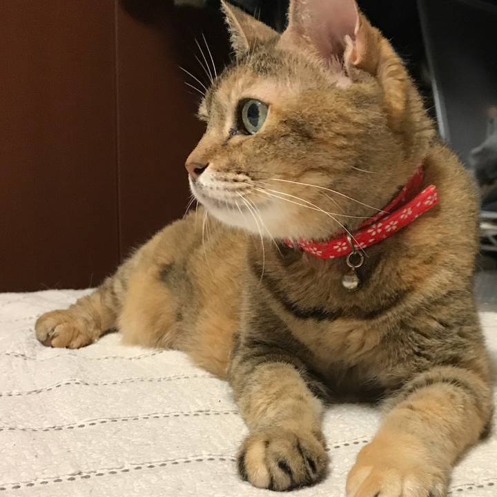 6307eec0 2049 4234 9835 73674575e10e