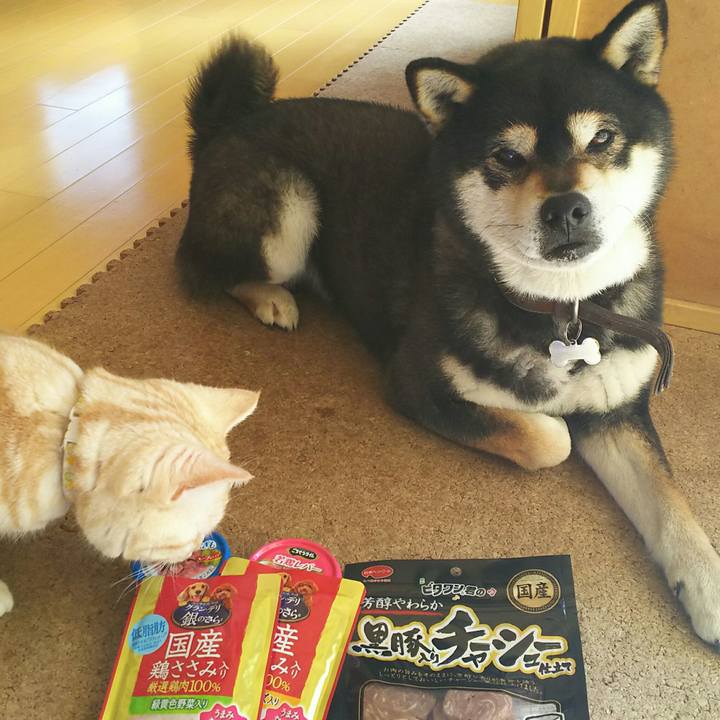 6308065e 5782 4701 af74 dac2472a5599