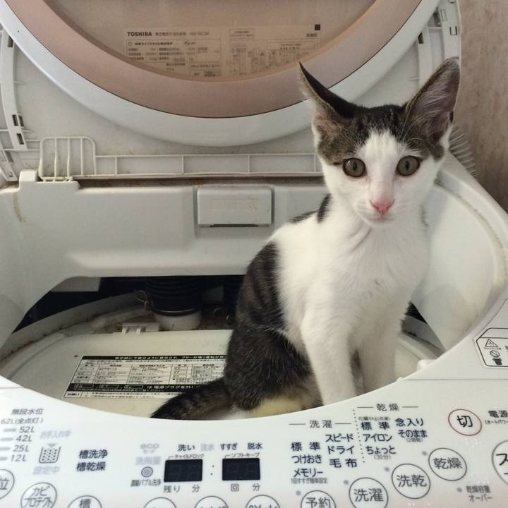 63080785 9992 4df6 ba4d 358c1a5b70b8