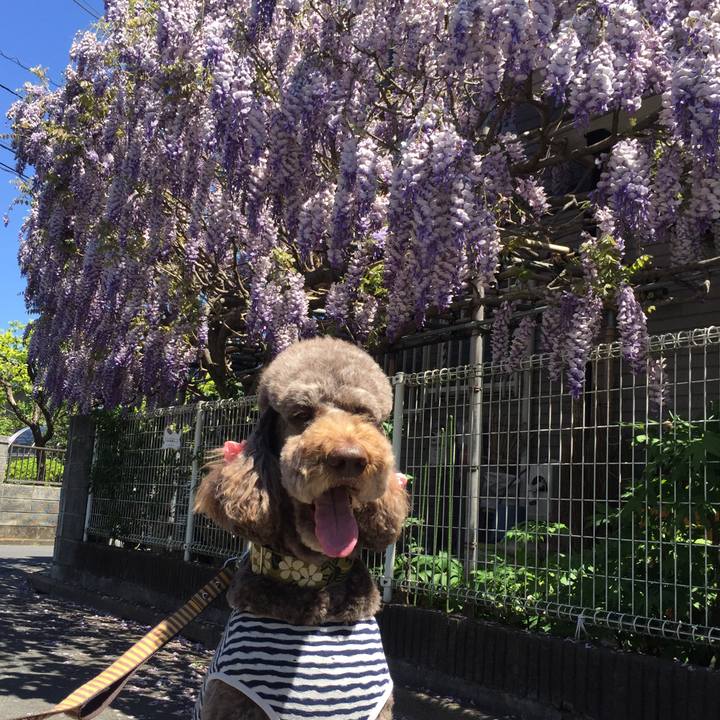 63085770 3e5f 4869 91ae a4d0893a5b00