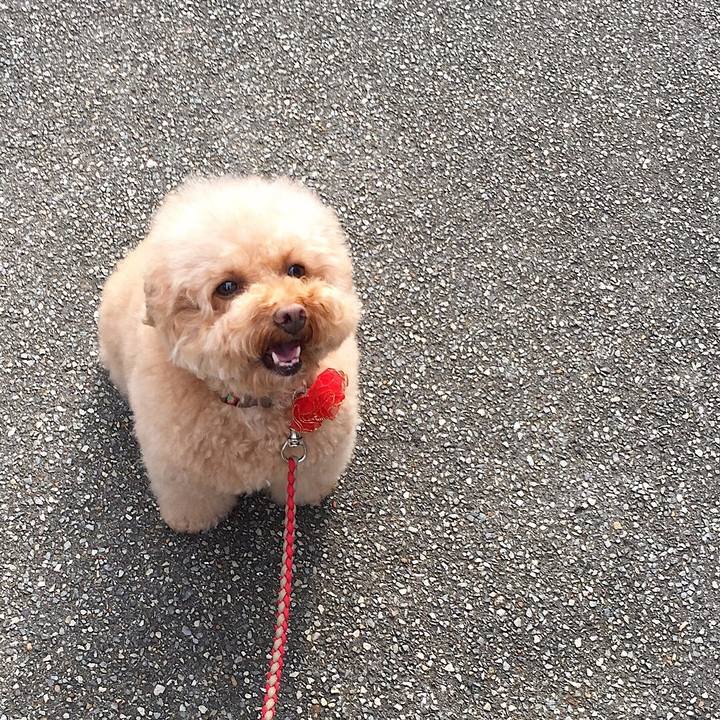 6308736e f6ef 45e9 a63a c40c812d2435