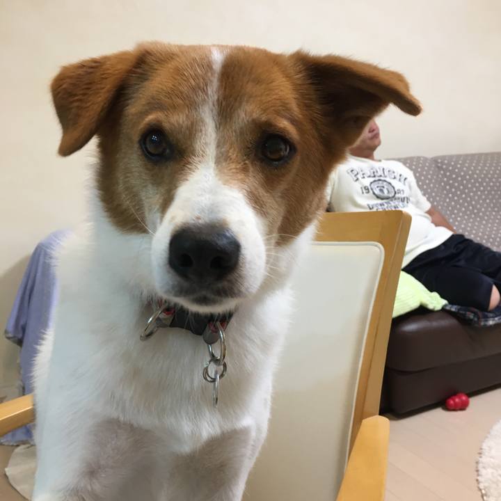 63088814 2fc3 4986 afed ab435f222699