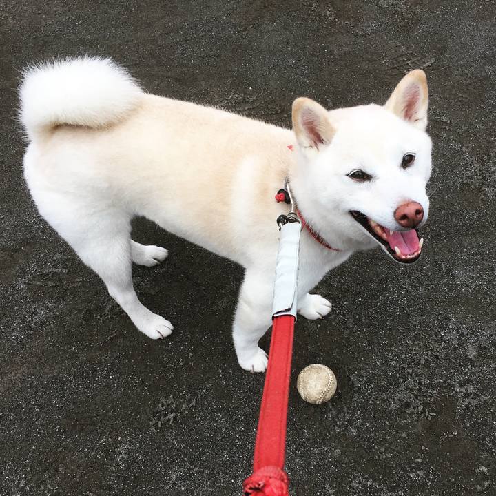 6308bf92 facf 4f90 b3c7 5d0fdeb101e3