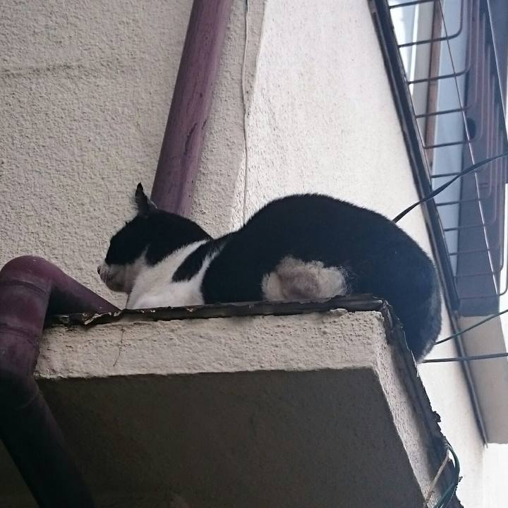 63095492 34fa 4733 a965 3f87cfc9fe21