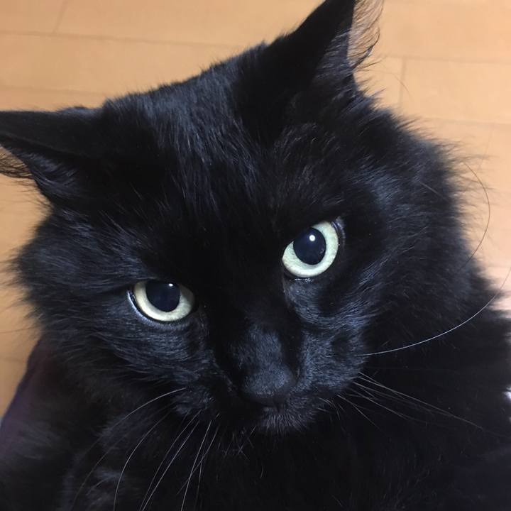 6309e244 4690 49a8 9232 26ca092adf06