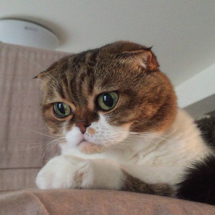 6309e5e5 1905 4ab1 9b12 6c35665af022