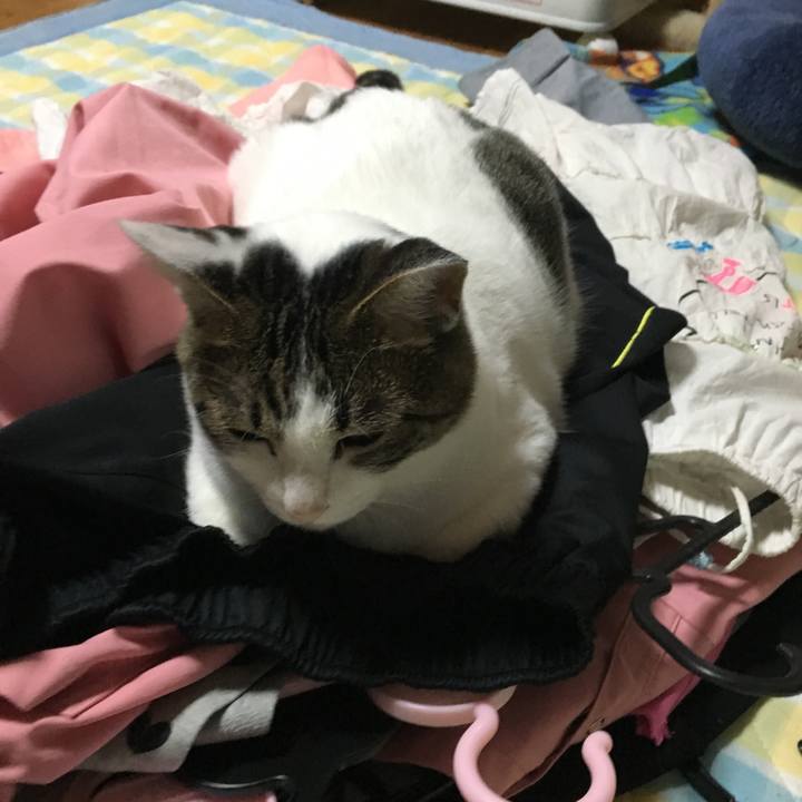 630a1f4e abaf 4327 9773 12f0e810165b