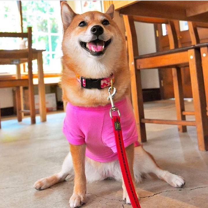 630a39da 02dd 42f4 b8b8 eeb05c1a6c9b