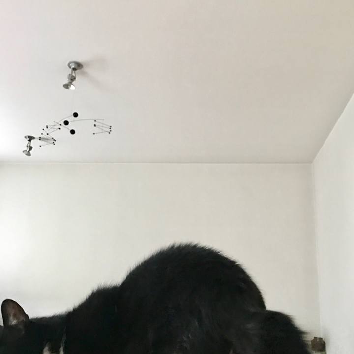 630a5f68 2dd7 4437 82e0 28e574f10e76