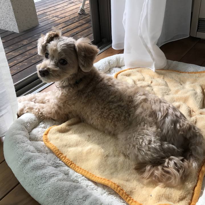 630a6d44 09c7 499e a22b ad2f969d6b5d