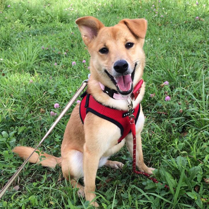 630ad2cc 815b 45a0 915e 9ff607eeab62