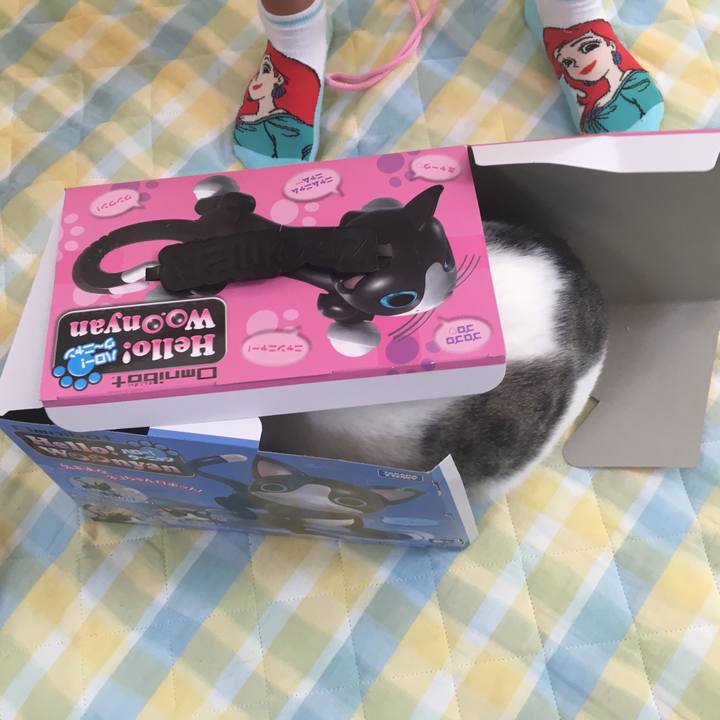 630b3535 6927 4798 b532 7c9ced67075d