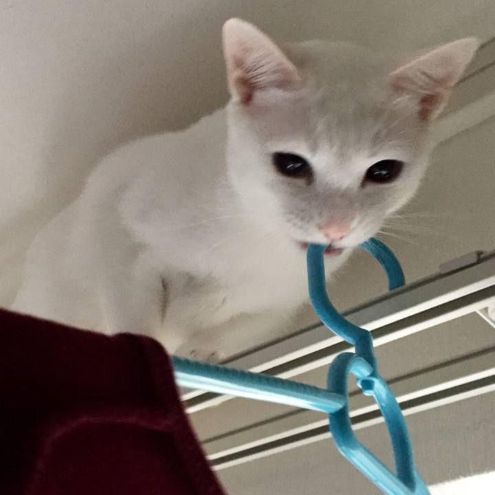 630bab63 6712 4a29 bb79 eefd1f6ab4bf